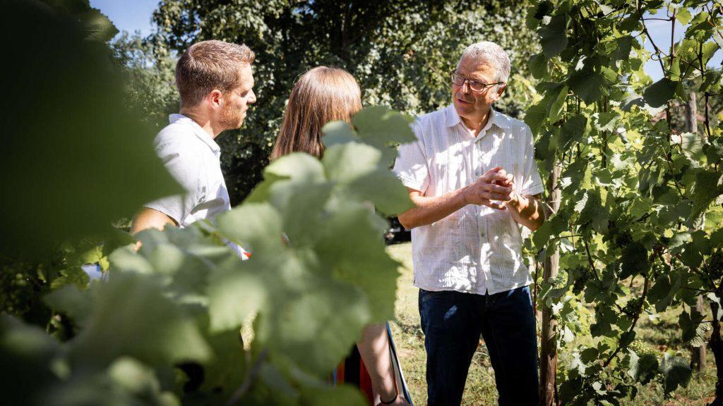De la Vigne au Verre vallée de Kaysersberg